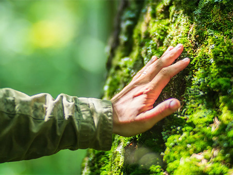 Учёные: человеческая биология не успевает адаптироваться к современной жизни
