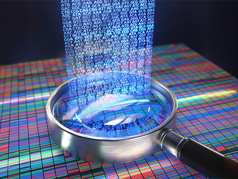 ДНК-узелок на память: создан биогибридный чип с рекордной энергоэффективностью