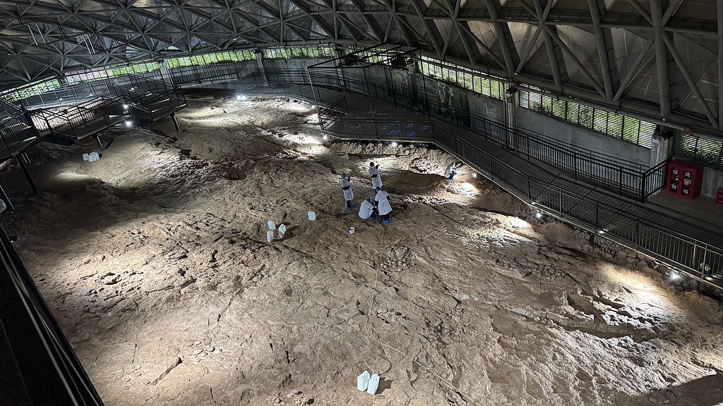 Китай защитил инкубатор динозавров: наноматериалы спасают тысячи древних яиц