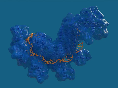 Искусственный интеллект помогает создать новое поколение CRISPR с повышенной точностью