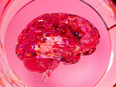 Цифровые двойники мозга становятся точнее: учёные нашли ключ к персонализации