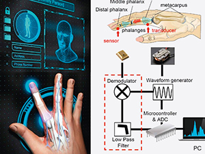 Новые методы альтернативной биометрии: биоакустическая «подпись». Обзор особенностей и перспектив