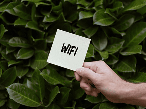 ИИ научился узнавать людей по Wi-Fi: точность идентификации приблизилась к 100%