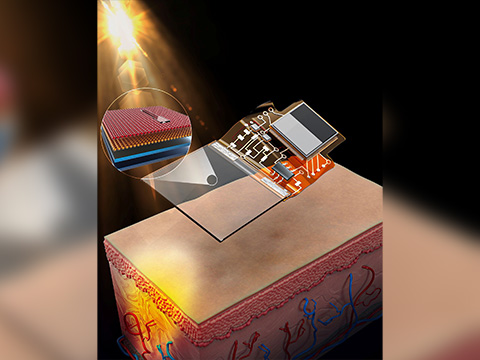 Южнокорейские учёные создали прозрачный датчик, предупреждающий о вредном UVA Южнокорейские учёные создали прозрачный датчик, предупреждающий о вредном UVA