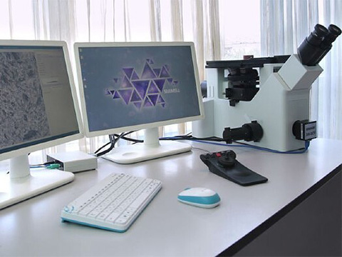 Поставщик микроскопов попал в «черный список» госзакупок из-за Windows и отсутствия выписки из реестра российского ПО